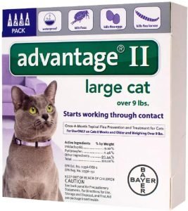 Best Flea Control for Cats 2021 Bayer Advantage II Flea and Tick Treatment for Large Cats