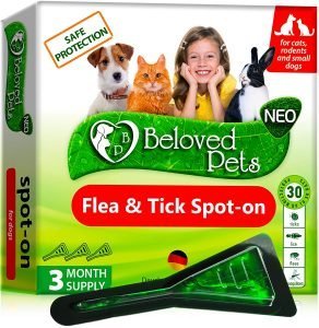 Flea and Tick Prevention for Dogs and Cats