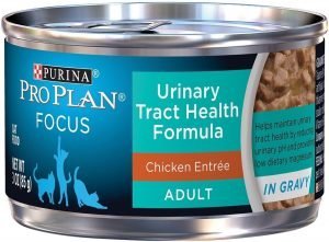 Purina Pro Plan Urinary Tract Health Gravy Wet Cat Food, FOCUS Urinary Tract Health Formula Chicken Entree, 3Oz (Pack of 24) Click image to open expanded view Purina Pro Plan Urinary Tract Health Gravy Wet Cat Food