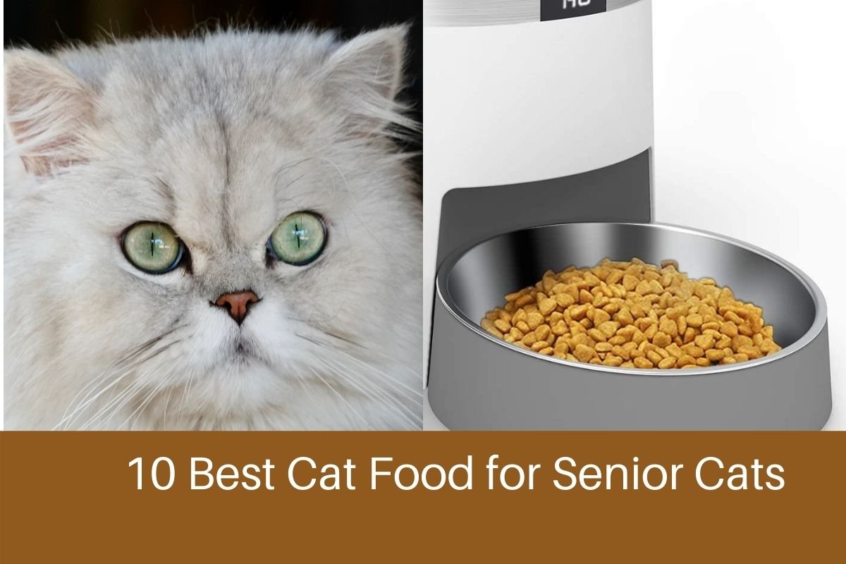 10 Best Cat Food For Older Cats