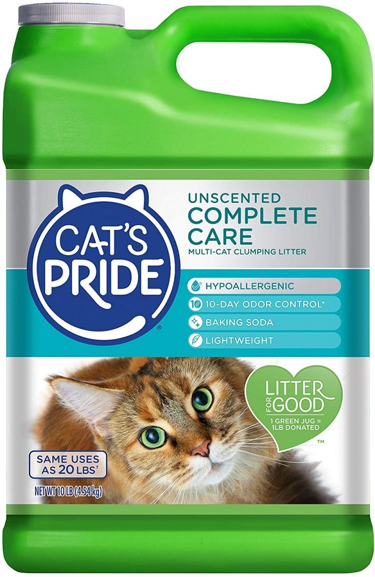 Non Tracking Non Clumping Cat Litter at Kelly Troupe blog