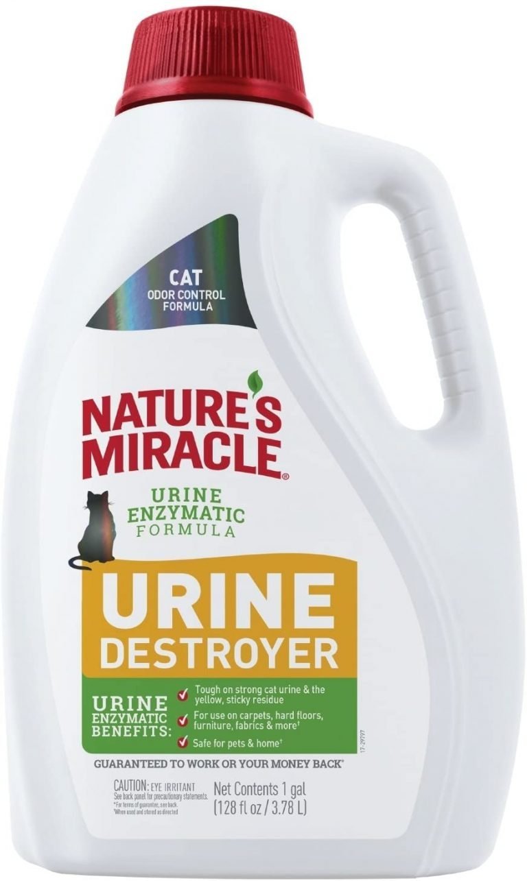 Best Carpet Cleaner for Cat Urine 2021 Reviews Kitten Passion