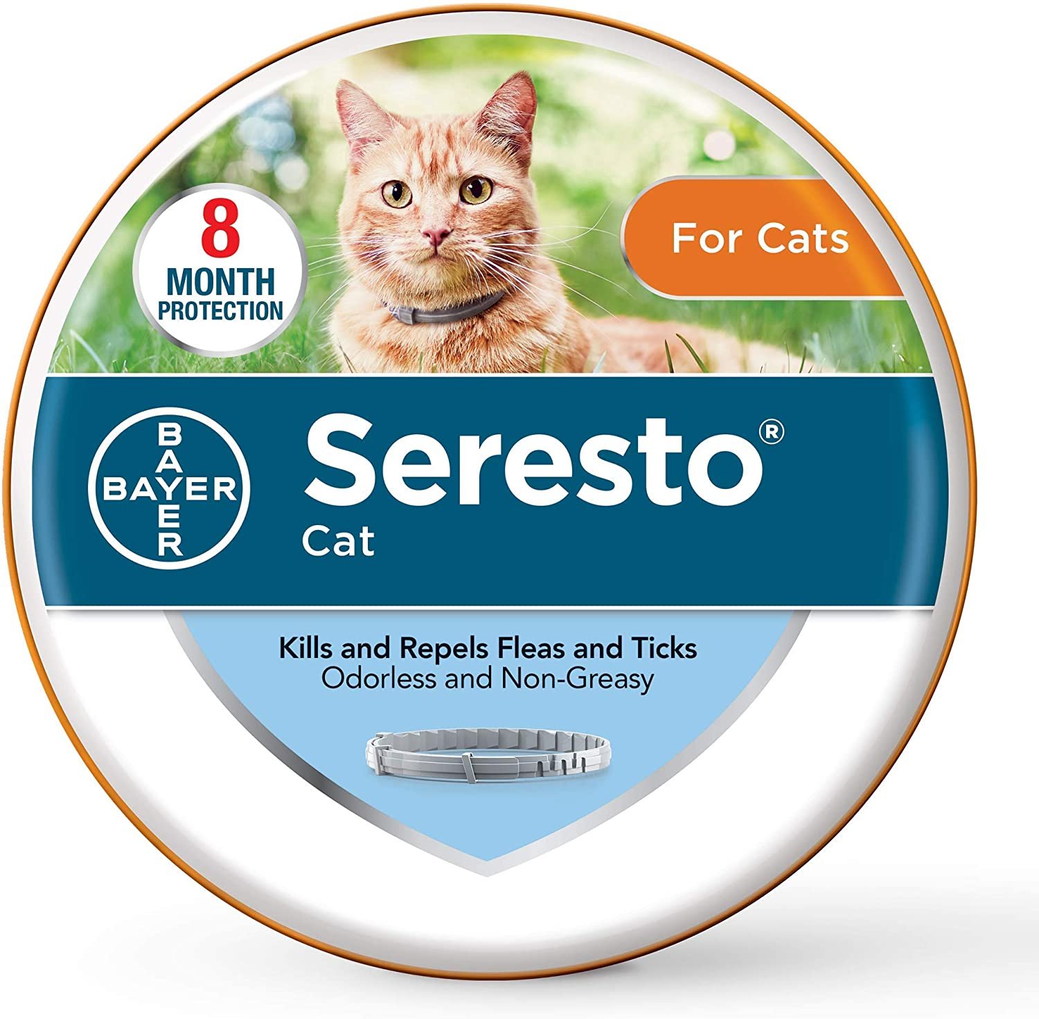 Best Flea Control for Cats 2021 Reviews - Kitten Passion