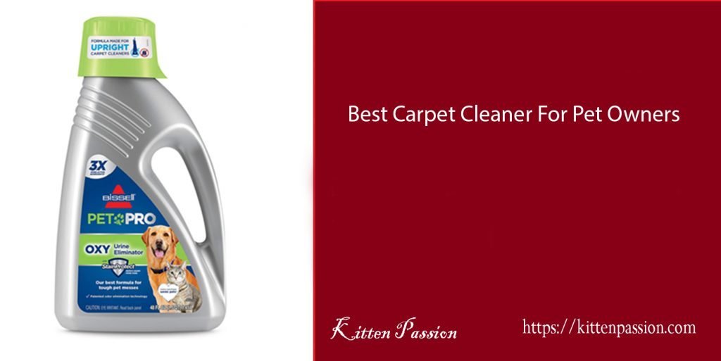 best-carpet-cleaner-for-cat-urine-2021-reviews-kitten-passion