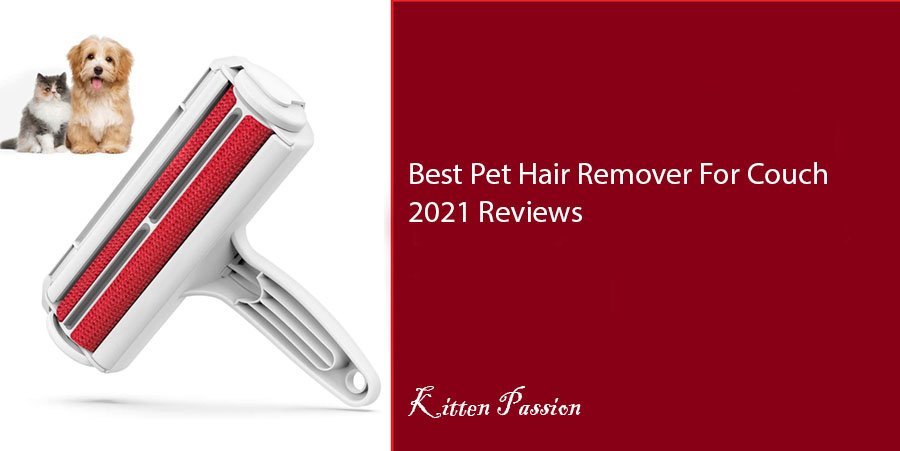 Best Pet Hair Remover For Couch 2021 Reviews